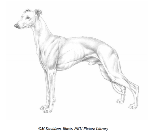 Captura de pantalla 2020-06-04 a las 16.20.46